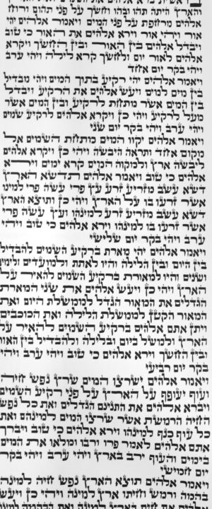 ספר תורה ספרדי 56 ס"מ