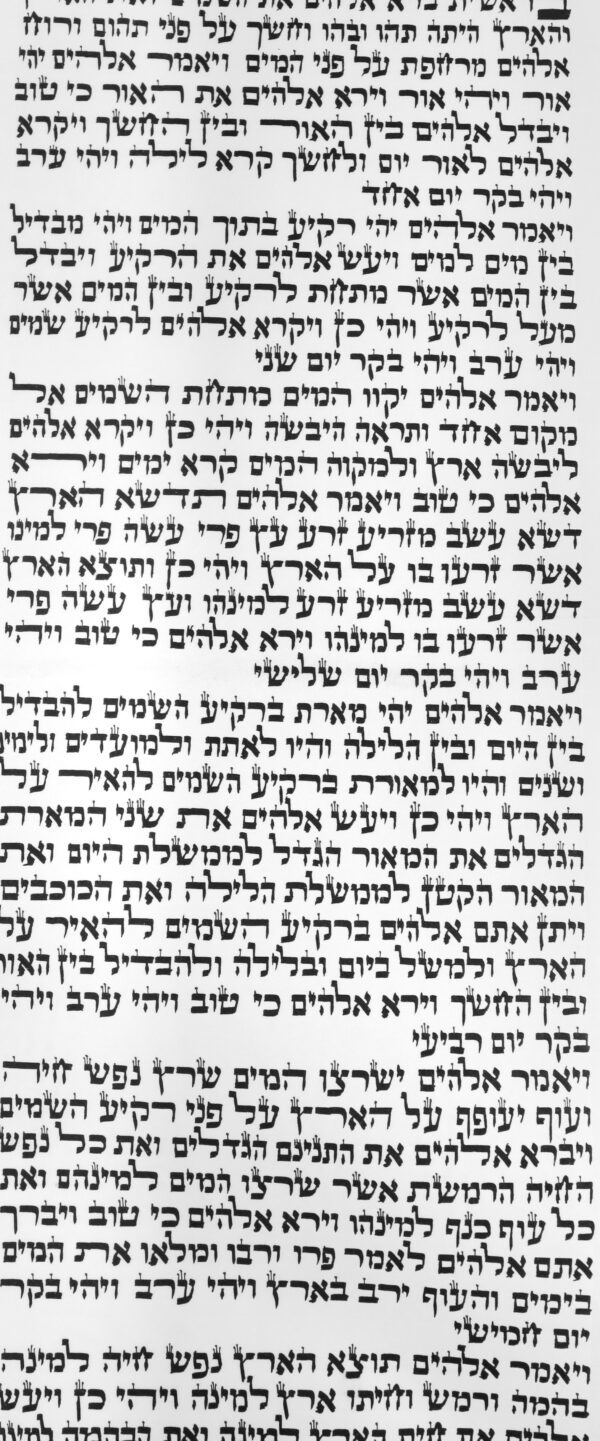 ספר תורה ספרדי 56 ס"מ