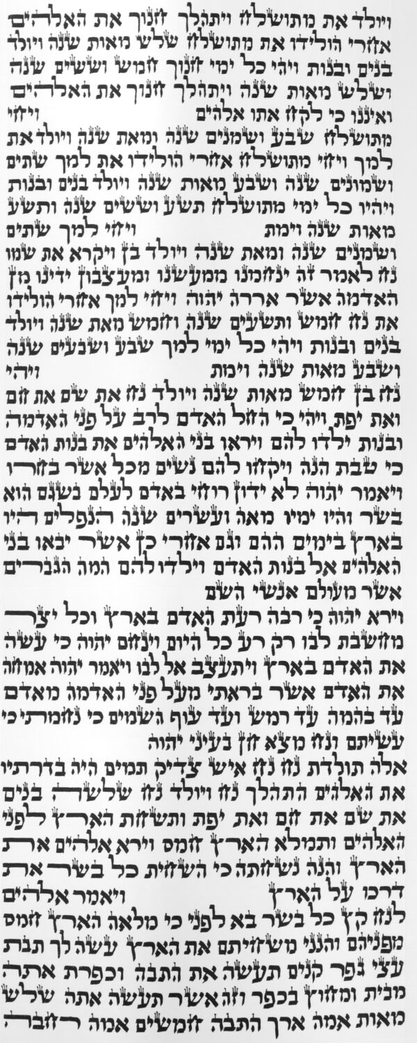 ⁦ספר תורה ספרדי 56 ס"מ⁩ – תמונה ⁦3⁩