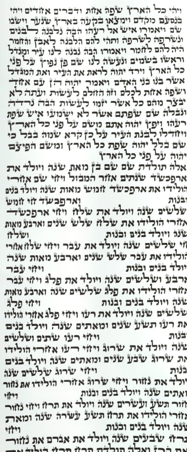 ⁦ספר תורה ספרדי 56 ס"מ⁩ – תמונה ⁦2⁩
