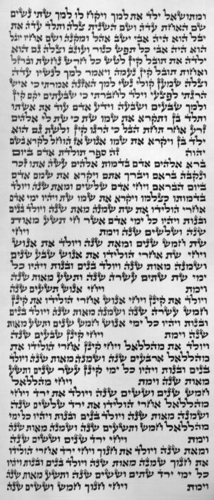 ספר תורה אשכנזי כתב האר"י 48 ס"מ