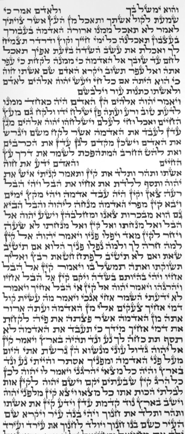 ⁦ספר תורה ספרדי 48 ס"מ⁩ – תמונה ⁦2⁩