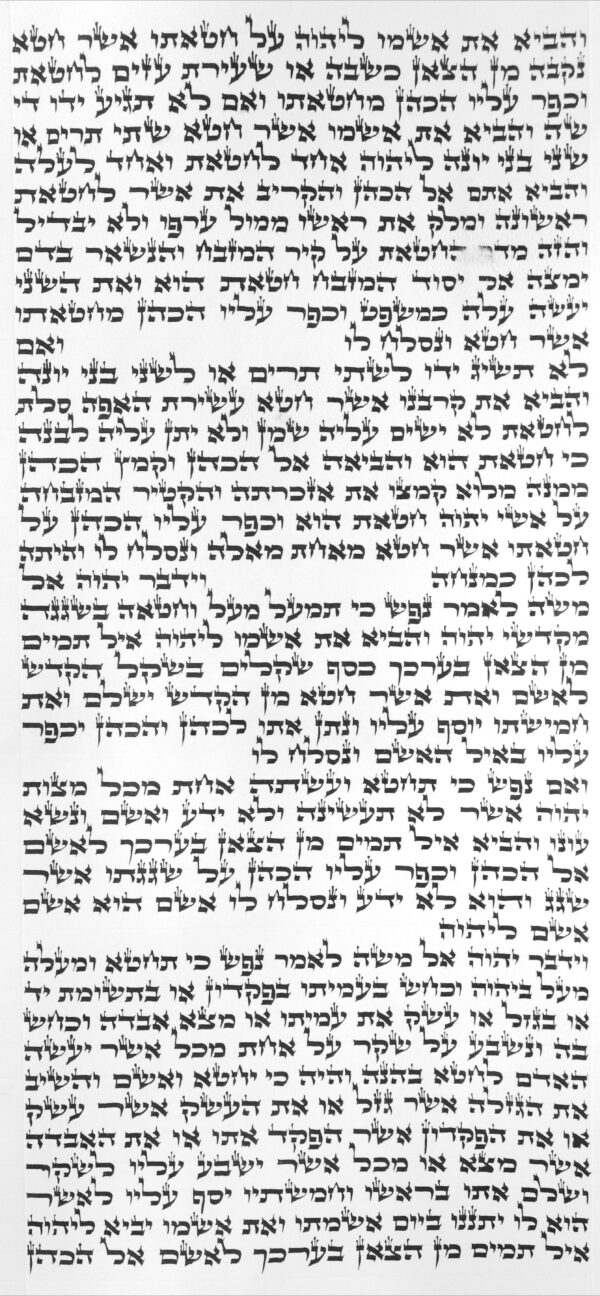 ⁦ספר תורה אשכנזי האר"י גובה 36⁩ – תמונה ⁦2⁩