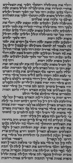 ספר תורה אשכנזי ב"י גובה 36