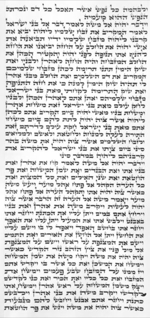 ספר תורה אשכנזי האר"י גובה 36