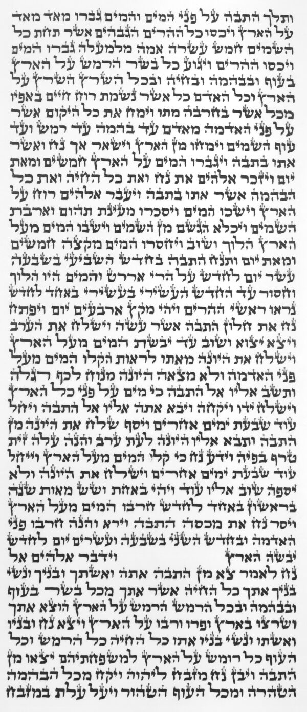 ⁦ספר תורה ספרדי 48 ס"מ⁩ – תמונה ⁦3⁩