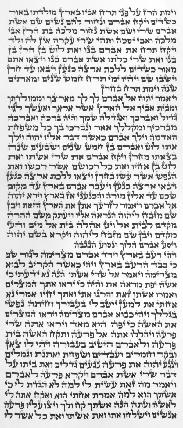 ספר תורה ספרדי 48 ס"מ