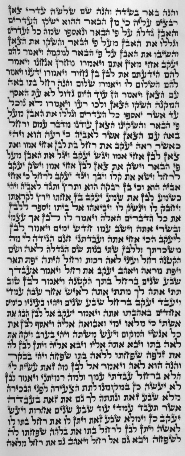 ⁦ספר תורה ספרדי 50 ס"מ⁩ – תמונה ⁦2⁩