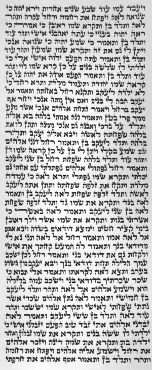 ספר תורה ספרדי 50 ס"מ