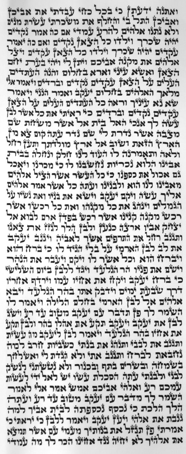⁦ספר תורה ספרדי 50 ס"מ⁩ – תמונה ⁦3⁩